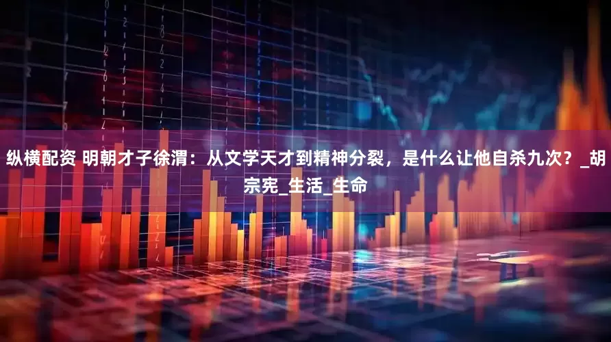 纵横配资 明朝才子徐渭：从文学天才到精神分裂，是什么让他自杀九次？_胡宗宪_生活_生命
