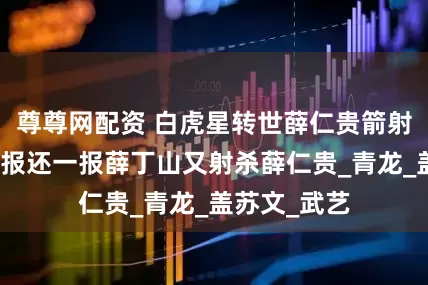 尊尊网配资 白虎星转世薛仁贵箭射薛丁山，一报还一报薛丁山又射杀薛仁贵_青龙_盖苏文_武艺