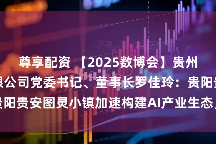 尊享配资 【2025数博会】贵州贵安发展集团有限公司党委书记、董事长罗佳玲：贵阳贵安图灵小镇加速构建AI产业生态，布局未来发展